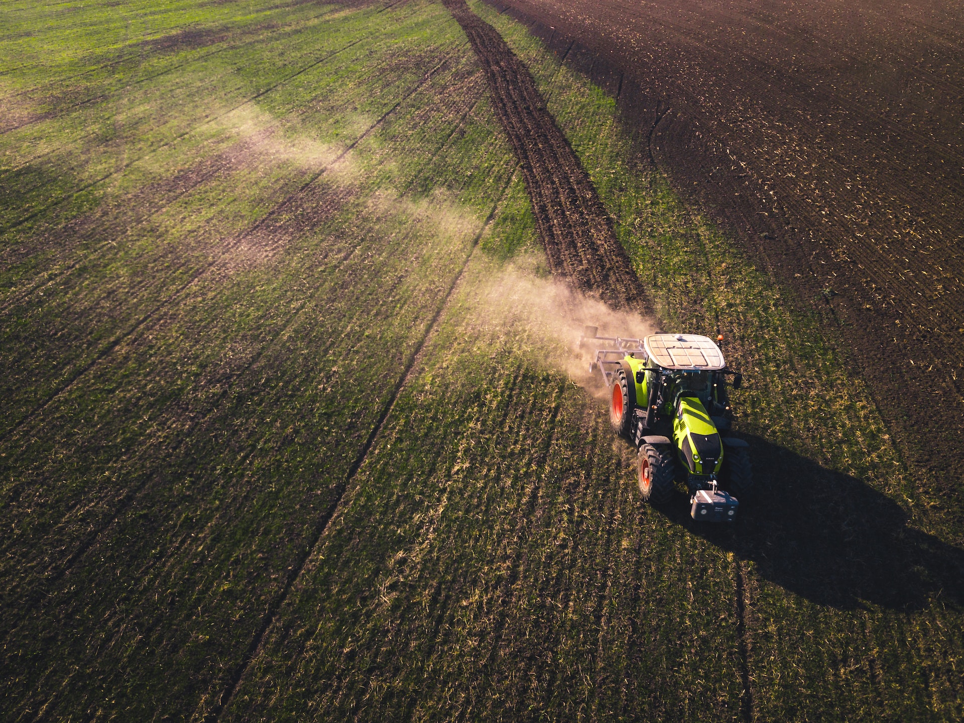 tractor in the field